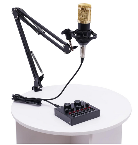 WOQLIBE Condenser Microphone Set, Recording Equipment V8 Live Sound Card
